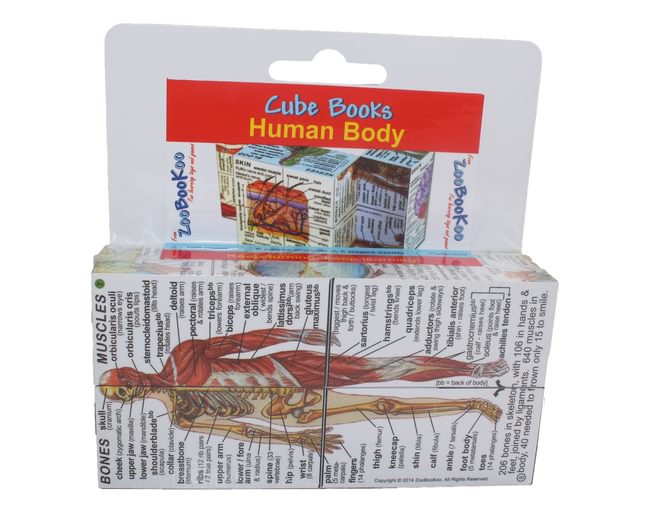 Human Body Cube Close Up