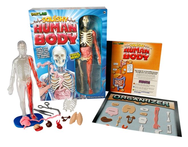 Squishy Human Body Check your Vitals