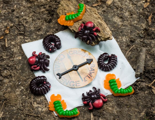 Treat Factory Creepy Crawly Challenge