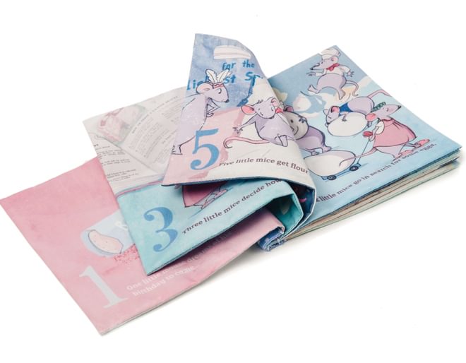 The Birthday Surprise Ragtales