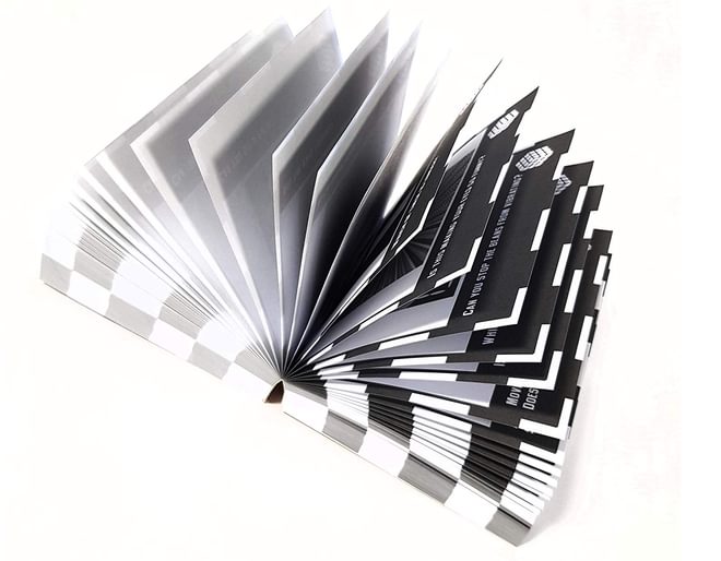 Optical Illusion Puzzles