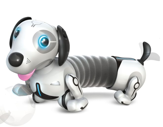 Robo Dash - Your Own Robot Pet