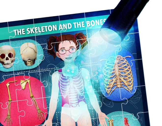 Human Body Under X-Ray