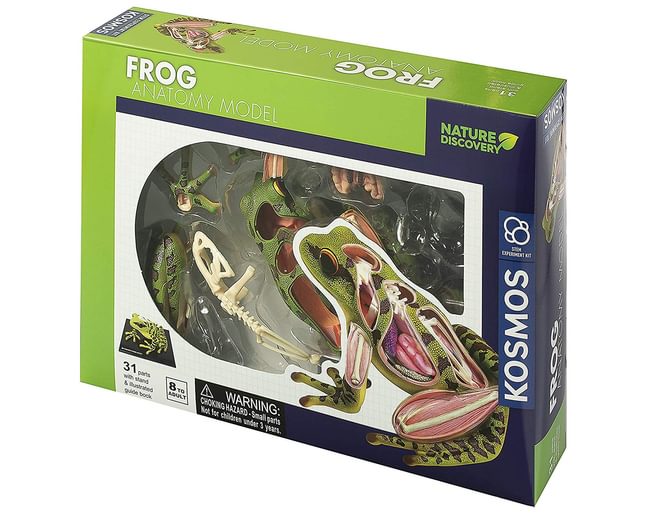 Thames and Kosmos Frog Animal Anatomy
