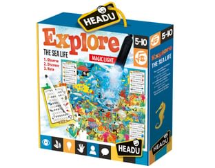 Explore The Sea Life