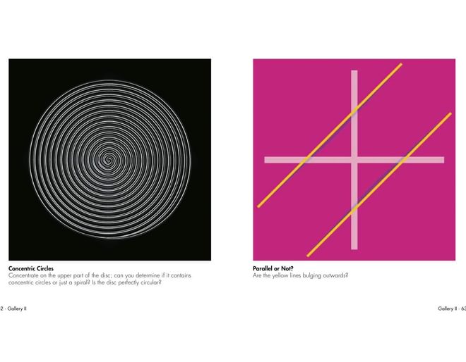 Fantastic Optical Illusions Book