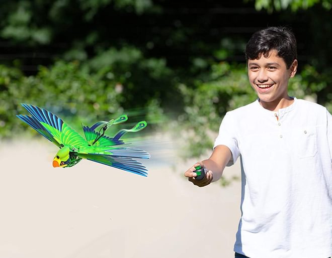 Go Go Bird Bionic RC with Flapping Wings