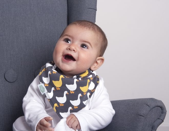 Stylish Greys Bandana Bibs