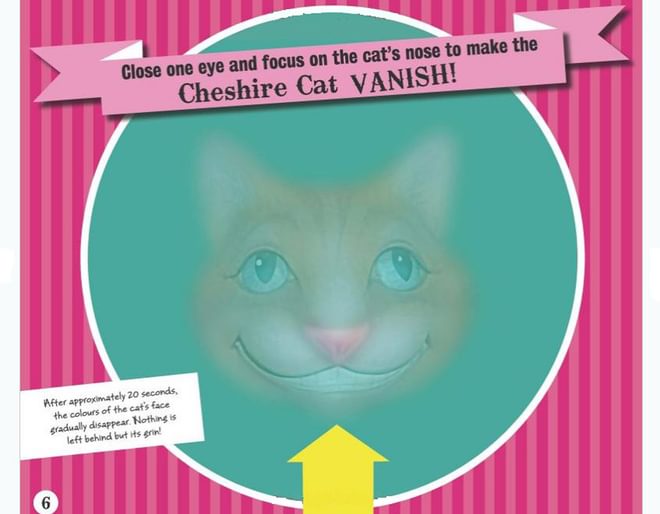 Super Optical Illusions Book 