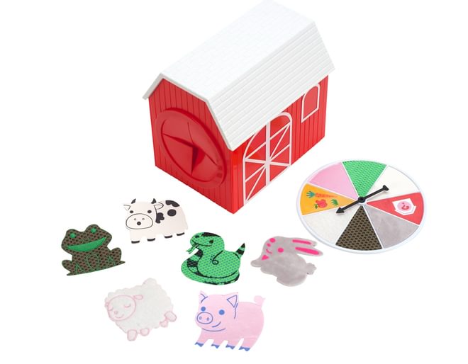 Petting Zoo Educational Insights