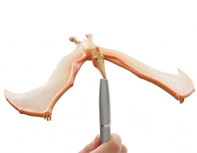 Lifestyle Amazing Balancing Pteranodon