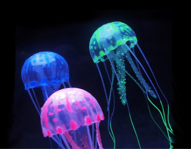 Jellyfish Tank Mood Light Up Close