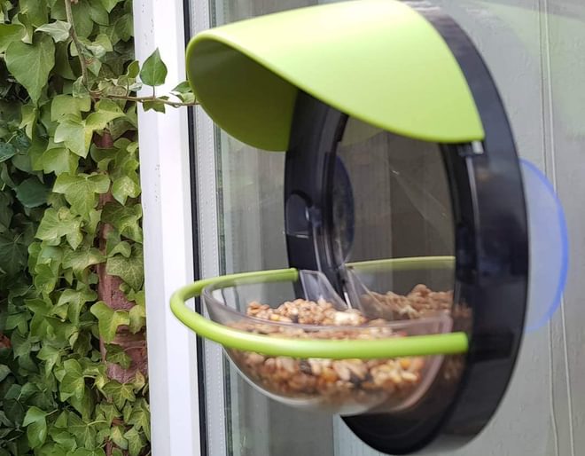 Bird Feeder