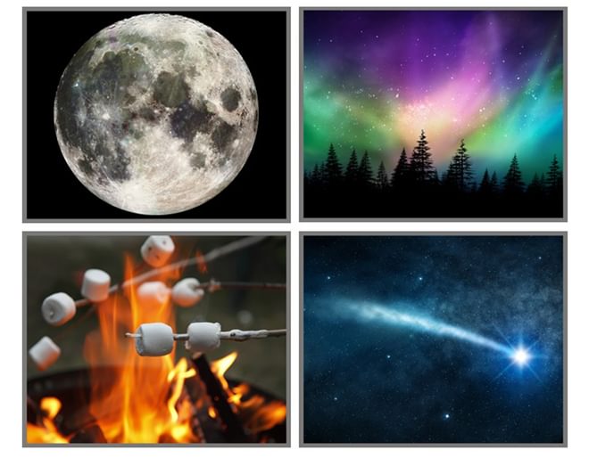 Outdoor Adventure Camping Projector Discs