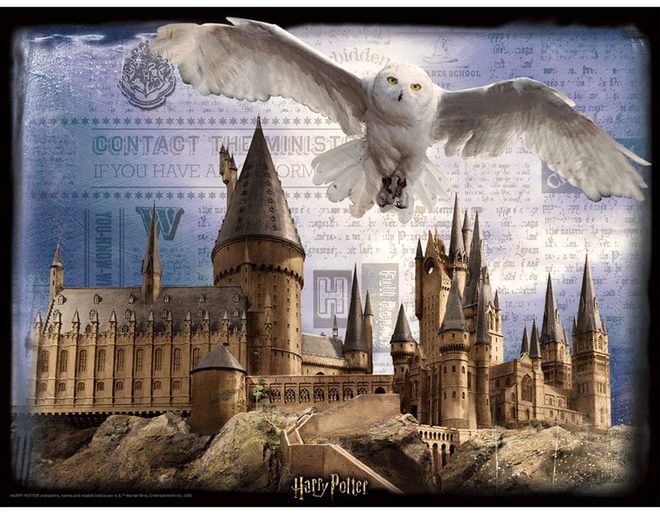 Harry Potter 3D Puzzle