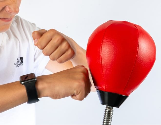 Desktop Punch Bag