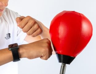 Desktop Punch Bag