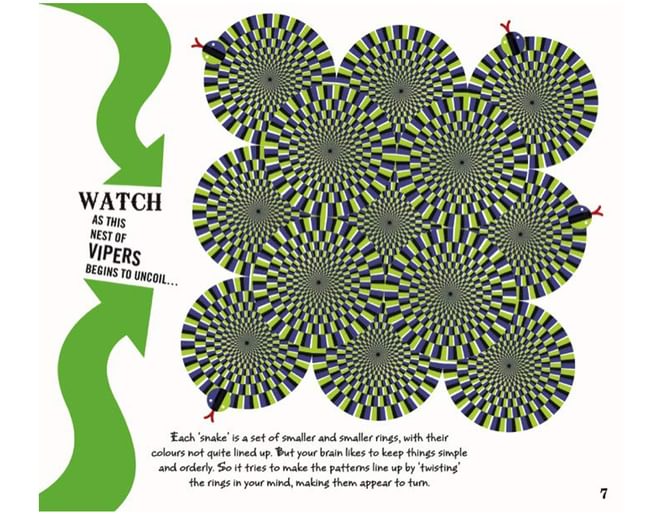 Optical Illusions ISBN9781787391635 