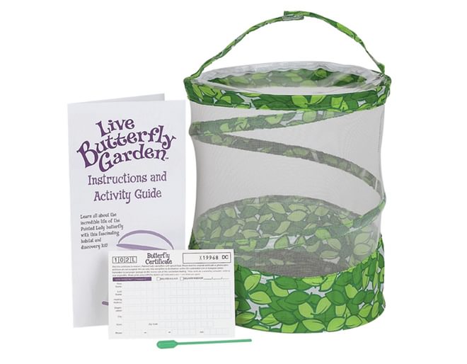 Live Butterfly Garden Contents