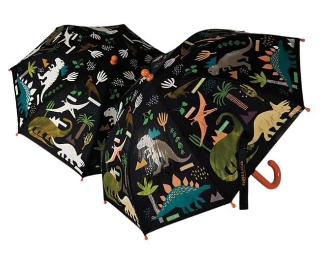 Dinosaur Colour Changing Umbrella