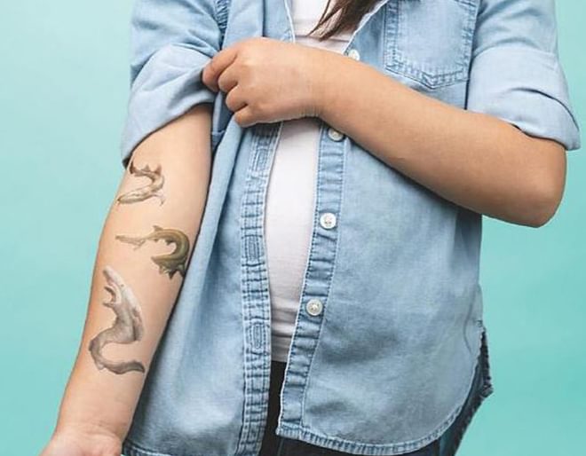 Shark Tattoos Storey