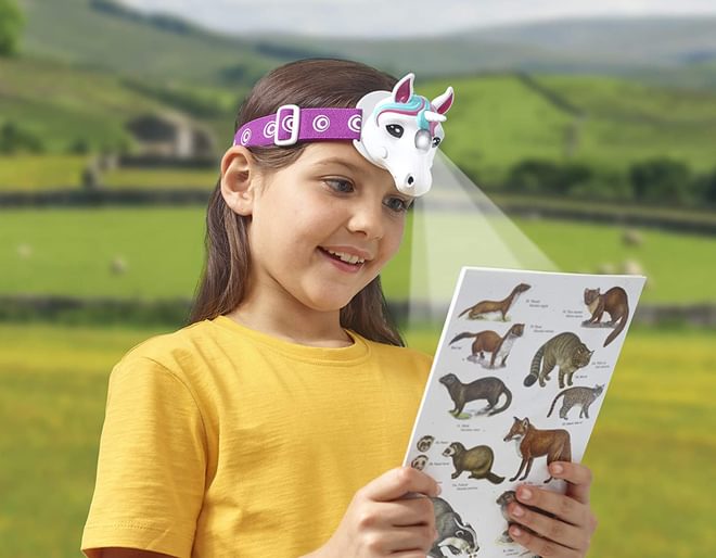 Unicorn Head Torch