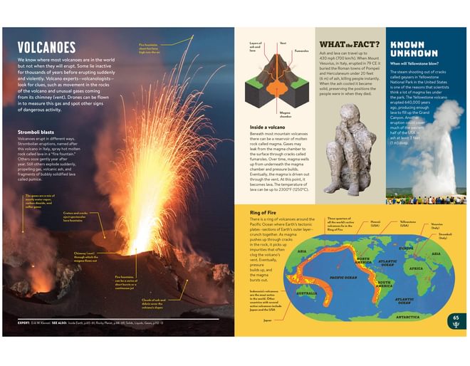 Britannica Encyclopedia