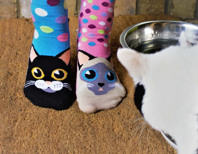 United Odd Socks Catwalk