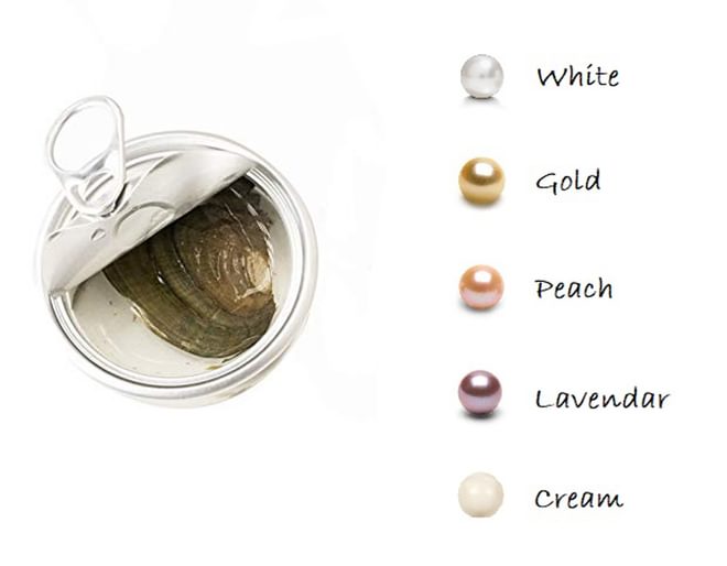 Real Pearl in Clam Necklace