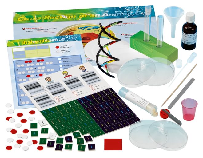 Genetics DNA Kit