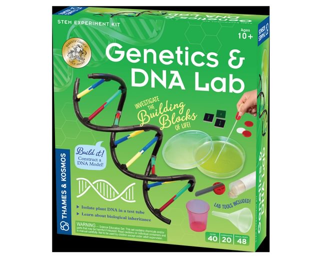 Genetics DNA Box