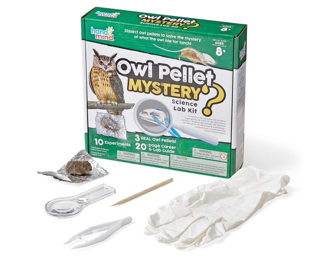 Owl Pellet Mystery