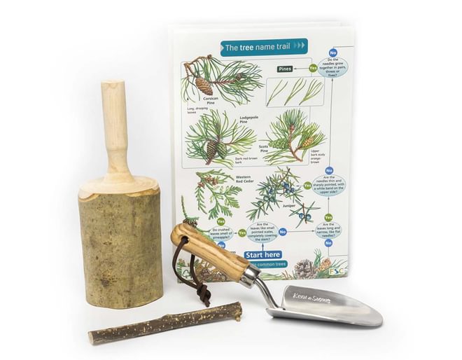 British Woodland Den Kit