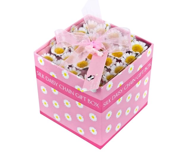 Silk Daisy Chain Gift Box Gifts For Children Wicked Uncle