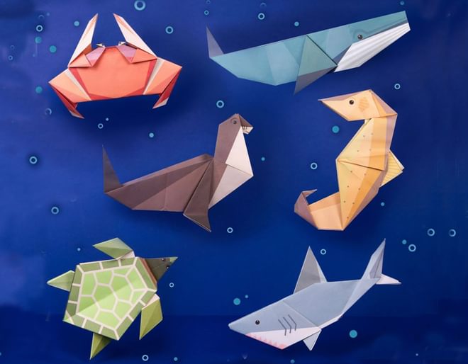 Giant Ocean Origami