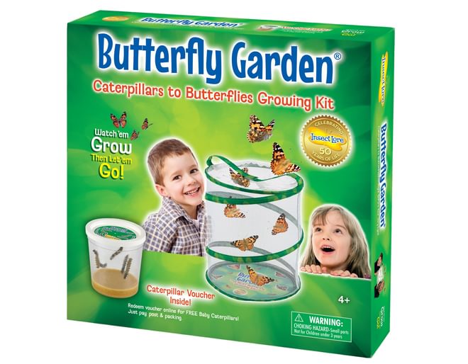 Liver Butterfly Garden Box