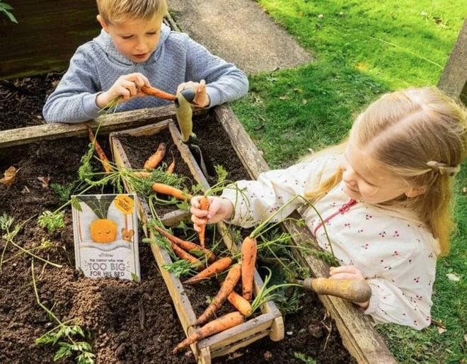 Willsow Plantable Children's Carrot Book