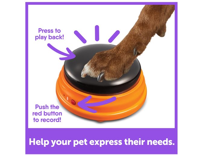 Teach your pet to talk