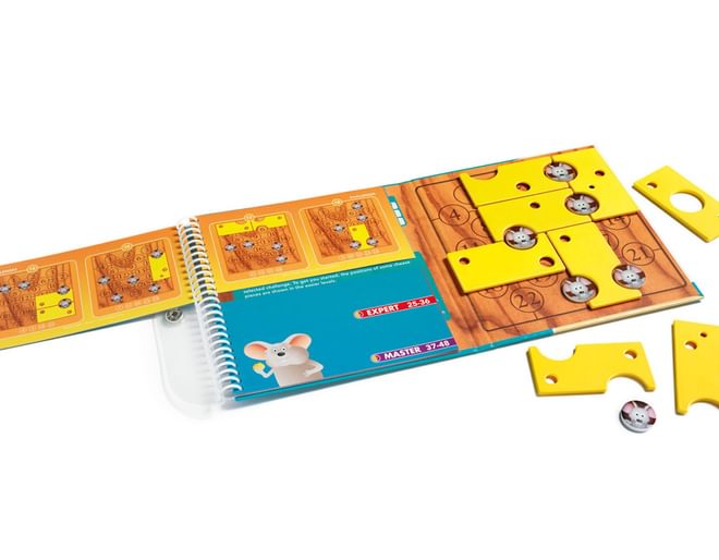Brain Cheeser Magnetic Puzzle Game
