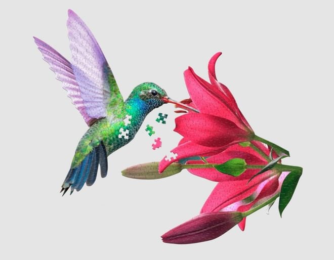 Hummingbird Shaped 300 Piece Puzzle