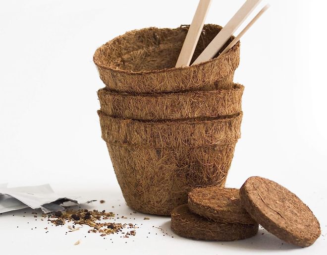 Gift Republic Radical Rainbow Veg