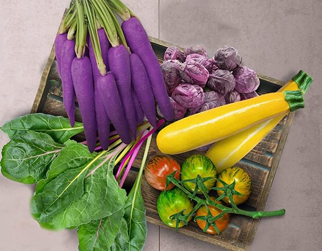 Rainbow Veg Growing Kit