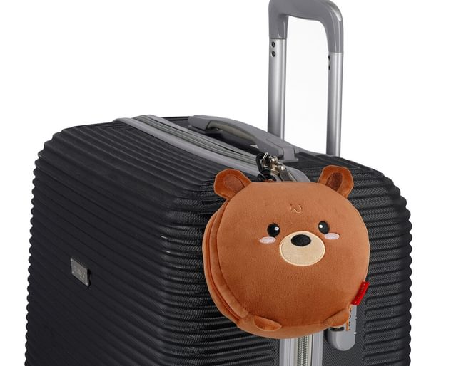 Teddy Travel Buddy