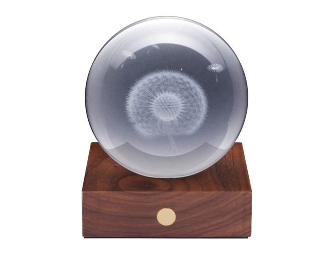 Dandelion Crystal Light