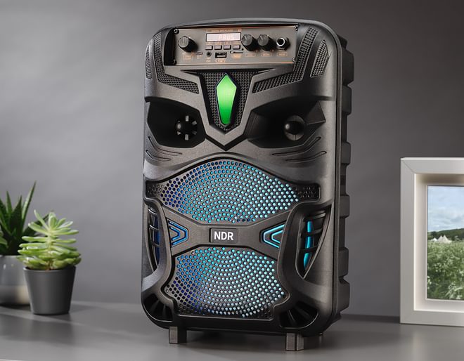 Wireless Karaoke Speaker With Mic
