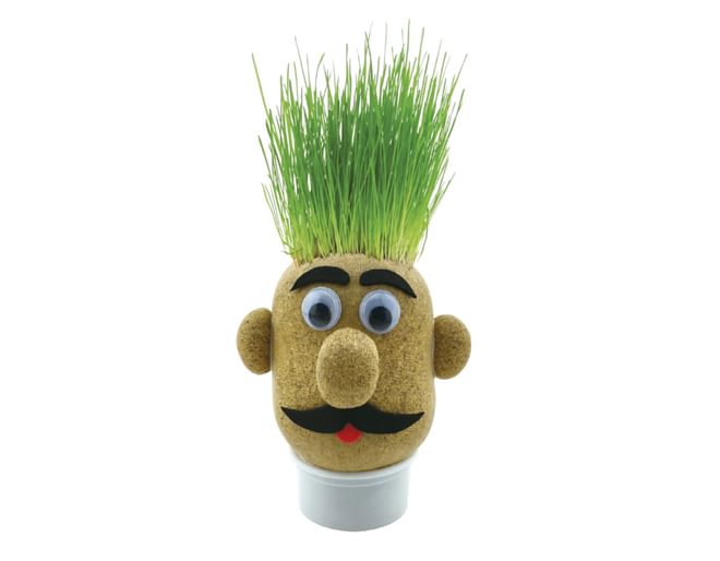 Funtime Grass Head