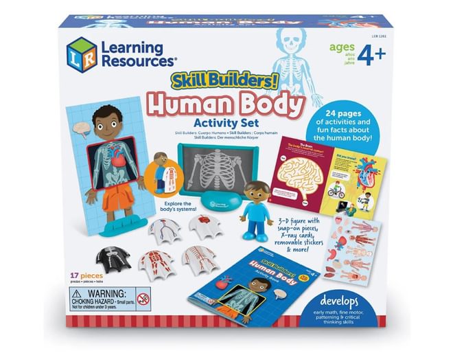 Human Body Activities