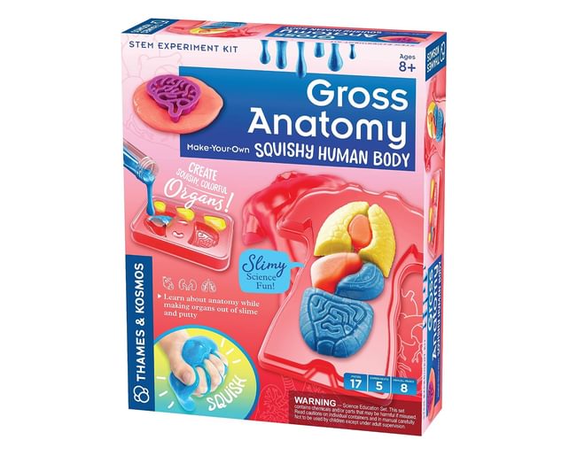 Thames & Kosmos Gross Anatomy