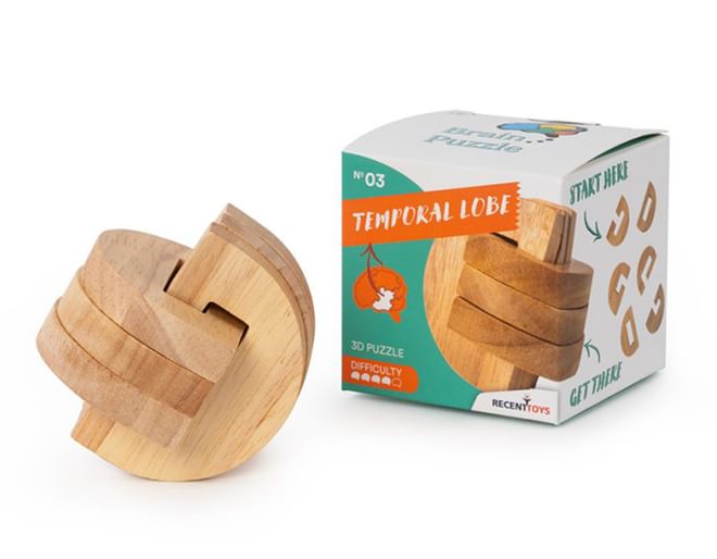 3D Brain Puzzle
