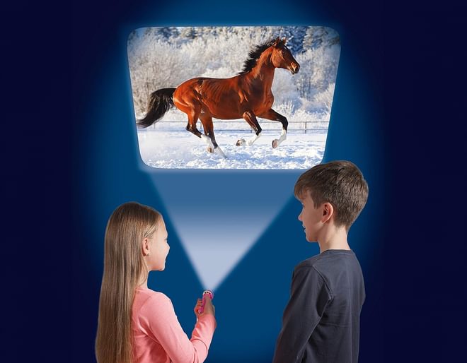 Horse Torch & Projector